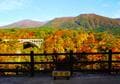 絶景紅葉レポート！  宮城県「鳴子峡」＆2024年『じゃらん』全国道の駅グランプリ第1位「あ・ら・伊達な道の駅」で秋を満喫！の画像001