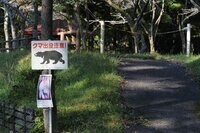 【クマを知る】「山であいたくない動物」のトップ！  クマ科の8種類を分類してみよう