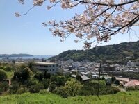 都心から日帰り「プチ遠征＆散策」にちょうどいい！  自然を感じてリフレッシュOK！ 「埼玉・千葉・神奈川」スポット3選