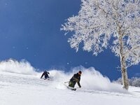 【斑尾高原スキー場】誰もが楽しい！ 隣接のタングラムと併せて51コースを滑走可能な「100％天然雪」ビッグゲレンデ