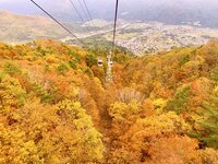【2024年11月 第1週】今週末の紅葉の見ごろは？ 名所＆人気スポットの最新情報をお届け「WEEKLY紅葉ニュース」