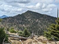 日本百名山＆世界遺産「大峰山」 国道309号線「冬季通行止め」解除で近畿最高峰「八経ヶ岳」へ！  弥山登山口から登山レポ