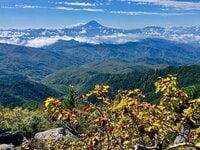 【気になる紅葉の進み具合】人気の百名山「金峰山」 色づき具合をレポート＜2026年9月連休明け＞