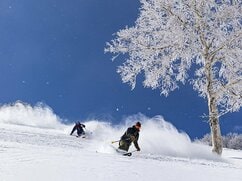 【斑尾高原スキー場】誰もが楽しい！ 隣接のタングラムと併せて51コースを滑走可能な「100％天然雪」ビッグゲレンデ