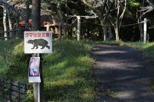 【クマを知る】「山であいたくない動物」のトップ！  クマ科の8種類を分類してみよう