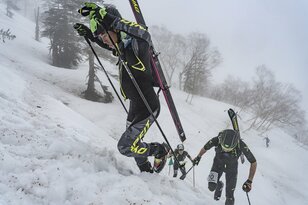 冬のトレラン？ 雪上のF1？ 「Skimo」の全日本選手権大会レポート　栂池高原スキー場＜長野県＞