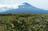 夏も絶景！ 初日の出「ダイヤモンド富士」の名山「竜ヶ岳」からの「富士山」大展望！ 登山口のある「本栖湖キャンプ場」から3時間「登山レポ」の画像001