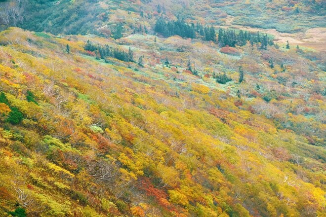 カラフルな「紅葉登山」旅！「 写活ハイク」で火打山の魅力を満喫【2021年・秋】山歩きインスタグラマーhykemika-yの画像010
