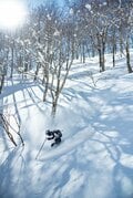 「パウダーを狙うために良い時、良い場所を知る」野沢温泉・白馬バレー・カナダ レベルストーク攻略法【村井 諄弘・舎川 朋弘・佐々木 悠～Home Mountain vol.7】の画像006