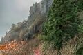 “行きは登山、帰りはロープウェイで！”　紅葉シーズンの「御在所岳」登山レポート「中登山道」 【三重県】 2024年の画像006