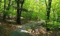 日光の隠れた名山「社山」美しすぎる帰路「中禅寺湖＆男体山」のパノラマ！　湖畔の洋館も見どころ「登山レポ」の画像001
