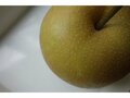 【アウトドア豆知識】＜梨の生産量の第3位は栃木で、第2位は茨城…気になる第1位は？＞「今が旬のフルーツ」美味しい“梨”は品種で選ぶのが近道です！の画像012