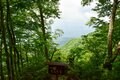 【梅雨の晴れ間】自然豊かな信州百名山・虫倉山  短時間で楽しめる里山歩き！「下山後は山奥の古民家で“おやき”に舌鼓」長野県／2022年の画像005