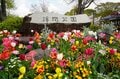 「浮間公園」桜とチューリップの豪華コラボは”東京の春”を鮮やかに彩る【東京都・板橋区】の画像009