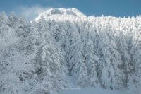 【ハイカー女子の一杯】 厳冬期の八ヶ岳・最高峰の赤岳へ最高の雪山登山！  “3杯目”  長野県 2025年