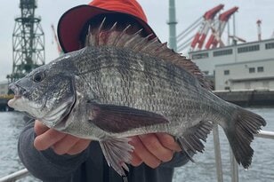 大流行中の手軽な釣り「チニング」！  攻略のための「効果的ルアー」と「ポイントの選び方」とは？