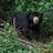 【クマ対策】クマ出没多発の不安に朗報！  YAMAPが登山中のクマ遭遇被害を防ぐ「クマ目撃アラート」を提供開始の画像001