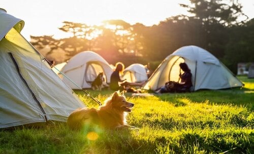 山梨のキャンプ場