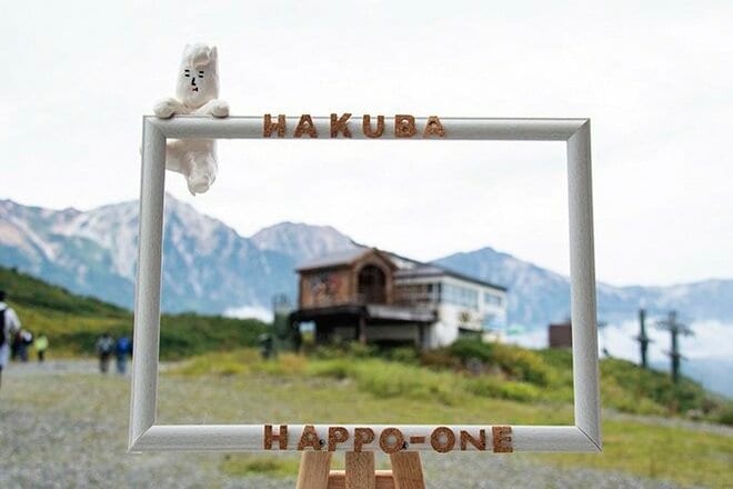 「絶景ハイキング」イチ押しスポット【白馬八方尾根】 リフトを降りて60分！  白馬三山を映す「八方池」 へ行こうの画像004