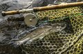 【冬季釣り場】日本一の利根川！ 「都市型河川で狙う大型ニジマス」実釣ルポ   群馬県前橋市・2023年秋の画像007