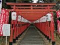 嵐・松本潤のNHK大河『どうする家康』家康築城の兵庫県・篠山城跡と王地山の「まけきらい稲荷」！  勝負の神様にプチ登山で参拝！の画像002