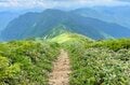 【登山】花の百名山は天空の楽園だった！「平標山の高山植物に魅了される夏」 新潟県・2023年の画像007