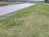 「近くにある河川敷でテント泊」はOKか！？  山や海ならどうなの？ 「調べてみた」【“気軽すぎ”はNG！ アウトドア・ボーダーチェック】