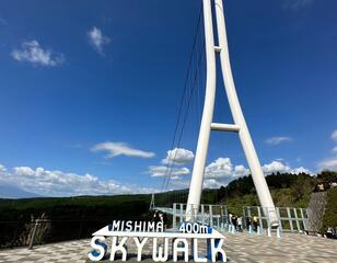 風速とスリルの絶景スポット「三島スカイウォーク」で涼を感じる！  日本最長400ｍ「歩行者専用吊り橋」＆往復560ｍ「ロングジップライン」ほか「現地レポ」