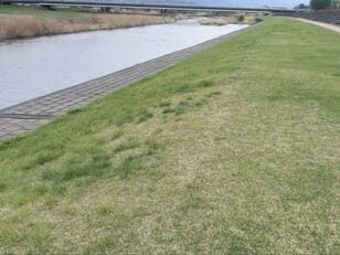「近くにある河川敷でテント泊」はOKか！？  山や海ならどうなの？ 「調べてみた」【“気軽すぎ”はNG！ アウトドア・ボーダーチェック】