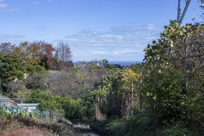 都市部で2時間「駅からハイキング」横浜市金沢区「大丸山」レポ！思わず嬉しくなる“街チカ”とは思えない、豊かな自然＆展望！の画像002