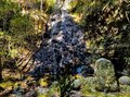 低標高で初心者にもおすすめ！  和歌山県の難読山「章魚頭婆山・嶽の森山・重畳山」の「特長と珍スポット」の画像006
