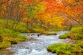 カメラ片手に！ 奥日光「竜頭の滝」を彩る鮮やかな紅葉とリバーハイキング 〈栃木県・日光国立公園〉2022年の画像003