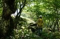 蓼科高原で自然に還り、森と戯れる “八子ヶ峰”トレッキング！  プライスレスな時間を提供する「東急リゾートタウン蓼科」【長野県】の画像008