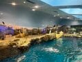 「世界のペンギン」の半分の種類が見られる「長崎ペンギン水族館」 一度は見たい！  かわいい“天然ビーチ”散歩＆マリンアクティビティも楽しめるの画像001