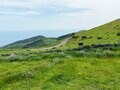 まるで「日本のアイルランド」？  島根県・隠岐諸島の2大絶景スポット「奇岩・絶壁の国賀海岸」と「赤ハゲ山」の「驚異のハイキング体験」の画像001