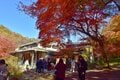 京都＆滋賀で紅葉登山といえば「比叡山」 市街地・琵琶湖を一望する「絶景ハイキング」ケーブルカー・ロープウェイ利用もOK「現地レポ」の画像003