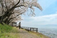 「“短かすぎる”けど絶景！」 見頃のお花見スポットをつなぐ、アルプス展望ハイキングルート【松本市】2025年