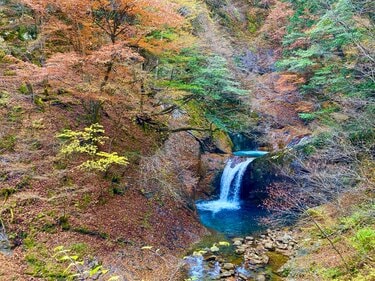 秋は「西沢渓谷」で決まり！ 奥秩父のカラフルな紅葉と翠玉の滝壺が