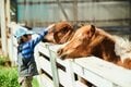 首都圏から “1時間半圏内” なのに「絶景が満喫できるキャンプ場」3選【絶景キャンプ場ガイド-言葉を失うほどの風景に会いに行こう- vol.3】の画像002