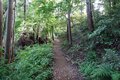 夏の低山を楽しむ！ “始発ハイク”＆街歩きのススメ【鎌倉編】の画像004