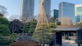 金沢・兼六園の冬の風物詩「雪吊り」を東京で見る！ 浜離宮恩賜庭園「冬の見どころ」発掘レポートの画像001