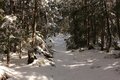 雪山ビギナーでもOK！ 「北八ヶ岳」絶景スノートレッキング「渋の湯登山口」から「高見石展望台」往復約4時間「ハイキングレポ」の画像002