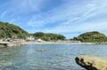 「待ち合わせは大潮満潮前の海水浴場」 命をつなぐダイナミックなフグの集団産卵を見た！ 2024年【神奈川県三浦半島】の画像001
