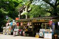 どうするゴールデンウィーク！？  徳川家康を祀る「上野東照宮」ぼたん苑で江戸風情に包まれる【東京都・台東区】の画像010