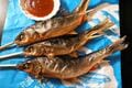 関東随一の清流「那珂川」で「春のウグイ」釣り！  婚姻色でオレンジに染まる美魚を「焼きアイソ」で味わう季節の味覚と地域の食文化の画像010