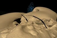 「立てたワイパーにご注意」 危険な車上の雪！ 安全で快適な雪道ドライブのために【2024年スノーシーズン】