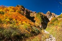 【百名山】秋色に染まる雨飾山へ！ 「山肌を覆う絢爛な彩りが見事」紅葉登山  長野県、小谷温泉ルート 2024年