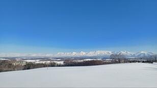 一生に一度は見てみたい！  北海道「道東の2大絶景」 オホーツク海「流氷」＆釧路湿原「タンチョウのダンス」現地レポ！