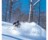 【斑尾高原スキー場・長野県】「コース数、雪質、積雪量、絶景」とユーザーが求める要素が“コンプリート”  珠玉の「マダパウ」にドはまりする人、急増中！の画像004