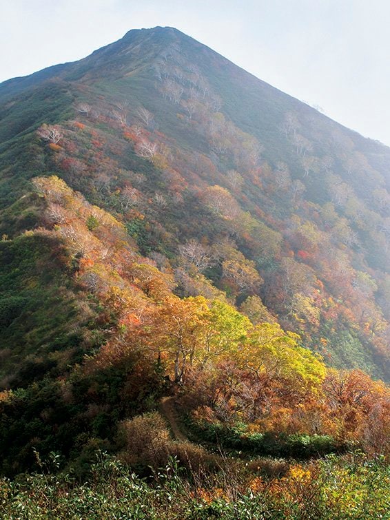 【富士山の次に登る山 vol.4】登山の魅力はムゲン大「山頂部に池塘が広がる山」 苗場山・平ヶ岳・朝日岳・飯豊連峰の画像009